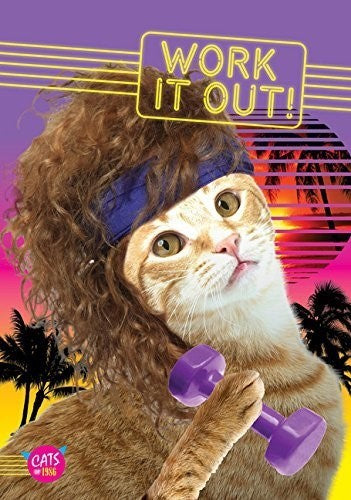 Work It Out! Journal: Cats of 1986