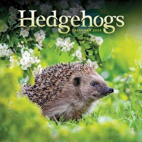 2024 Hedgehogs Wall Calendar
