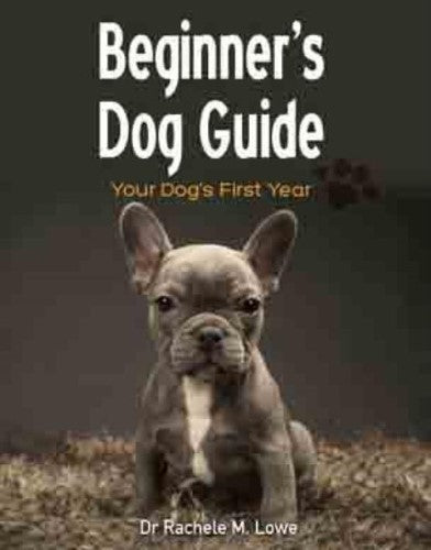 Beginner's Dog Guide: Your dog's first year