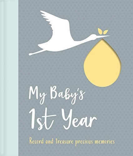 My Baby's 1st Year (My Baby's Love)