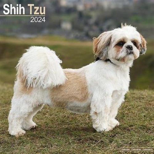 Shih Tzu Calendar 2024 Square Dog Breed Wall Calendar - 16 Month