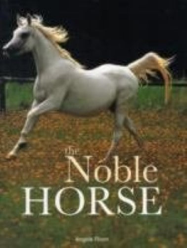 Noble Horse