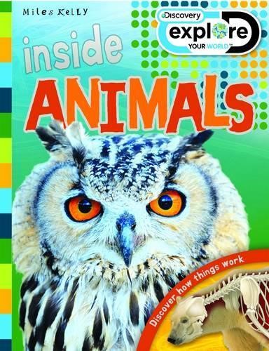 Inside Animals (Discovery Explore Your World)