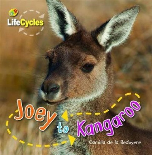 Life Cycle Joey to Kangaroo