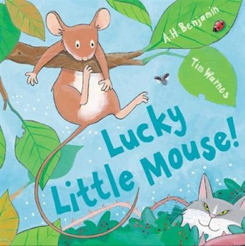 Lucky Little Mouse (Mini Hardbacks)