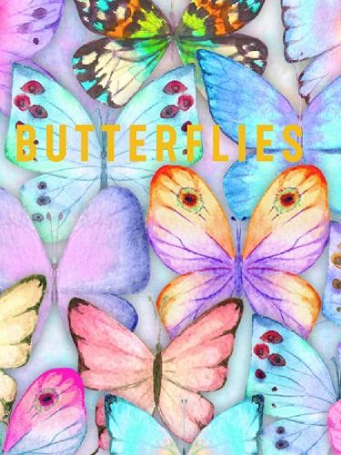 Butterflies (Hardcover)