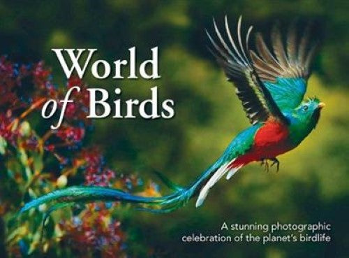 World of Birds (Paperback)