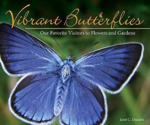 Vibrant Butterflies