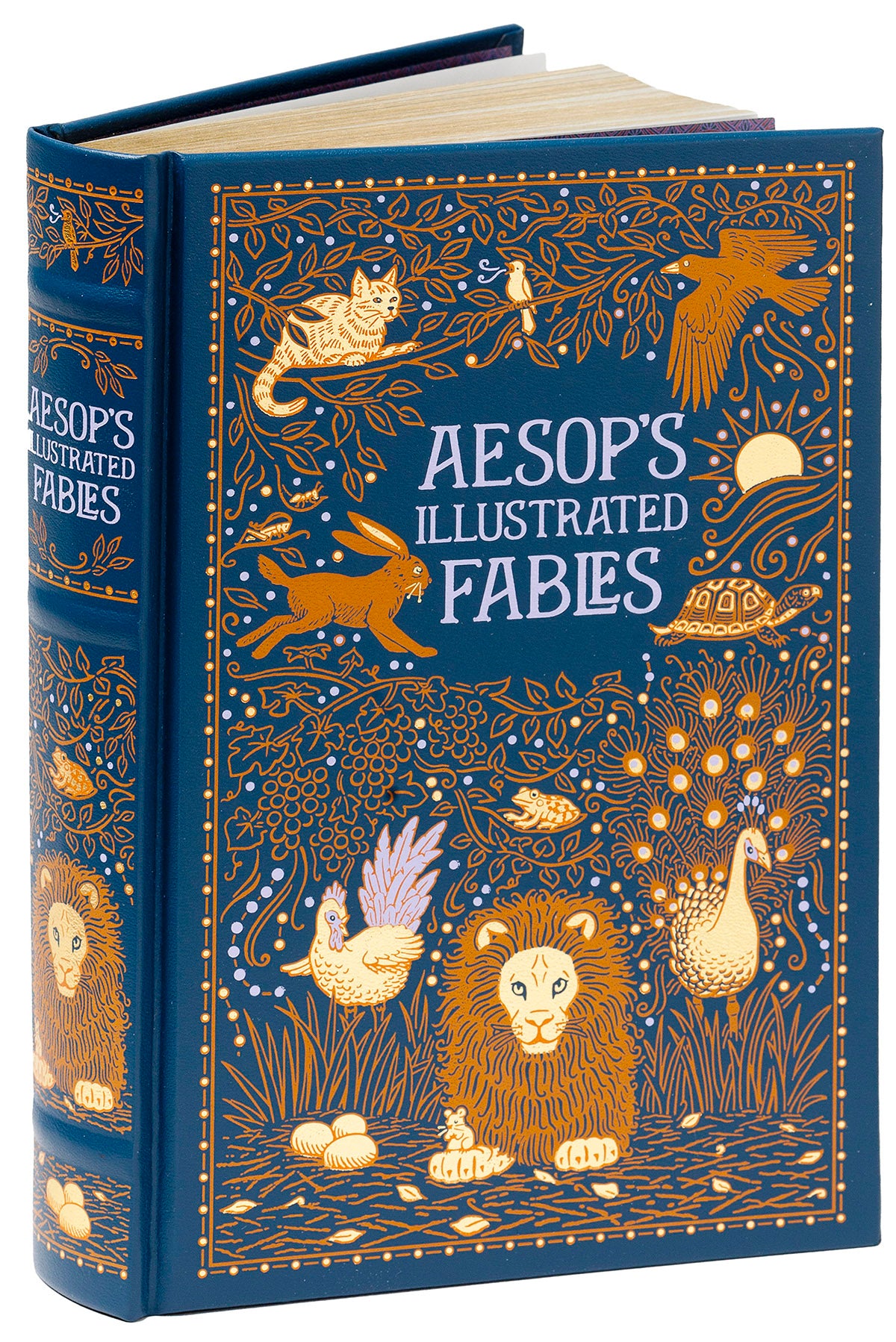 Aesop's Illustrated Fables (Barnes & Noble Collectible Classics: Omnibus Edition