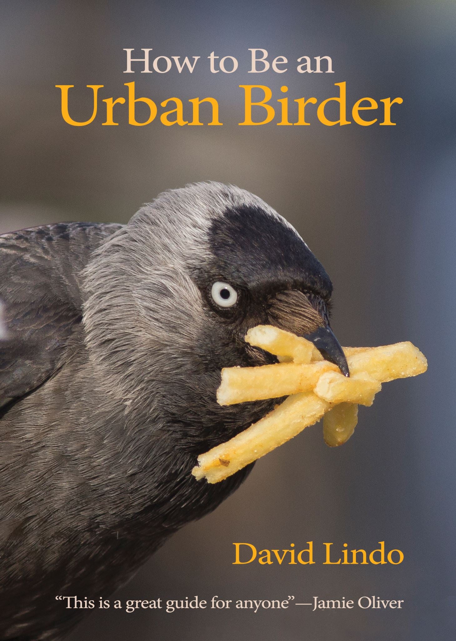 How to Be an Urban Birder