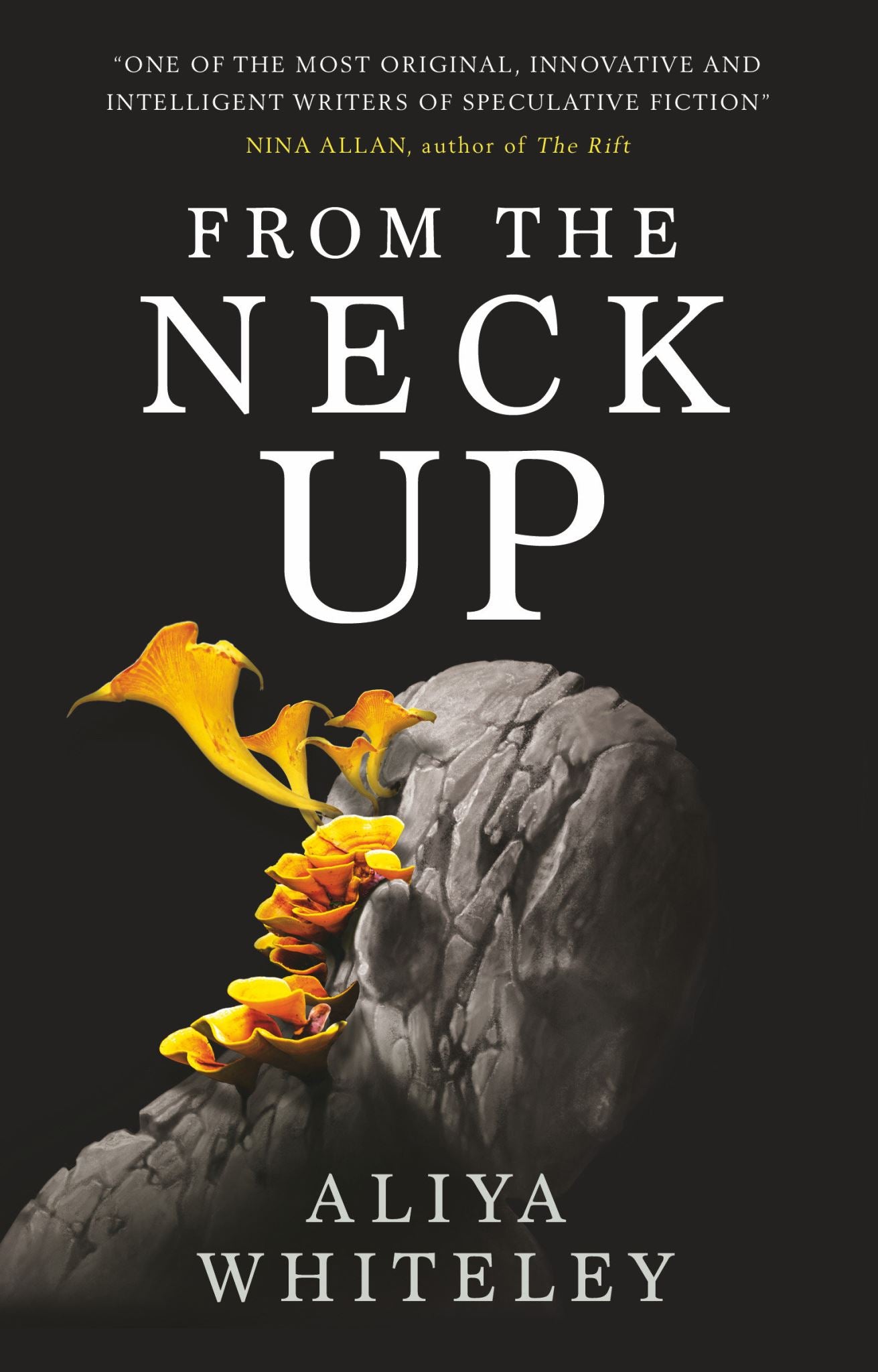 From the Neck Up