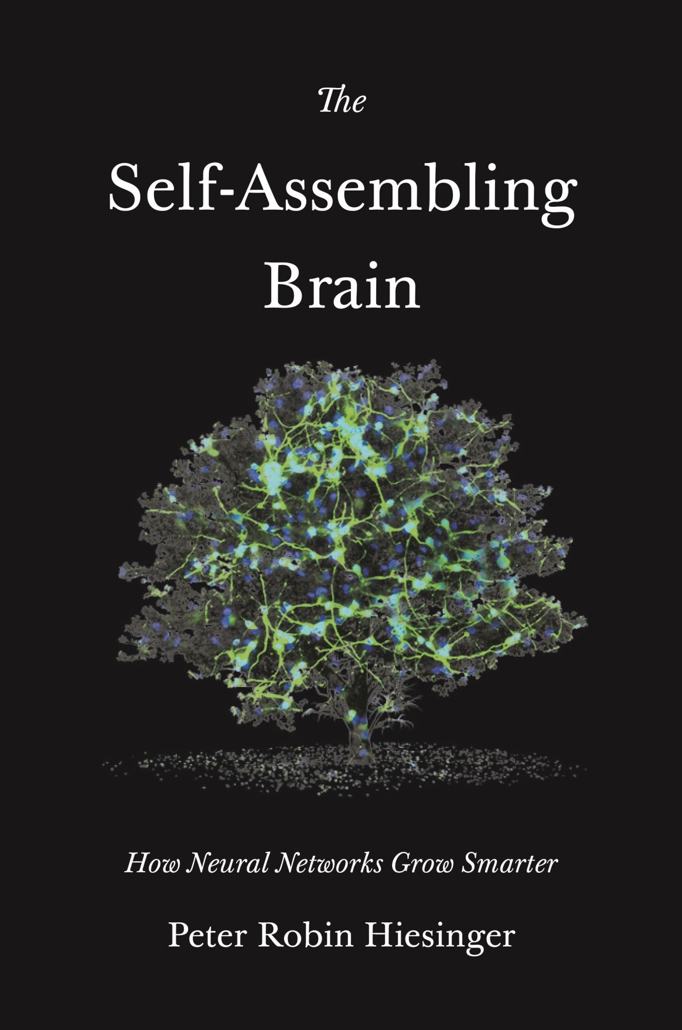 The Self-Assembling Brain