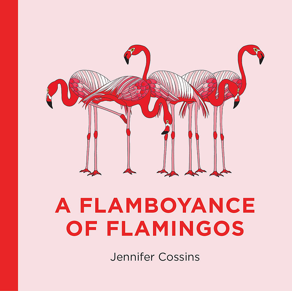 A Flamboyance of Flamingos