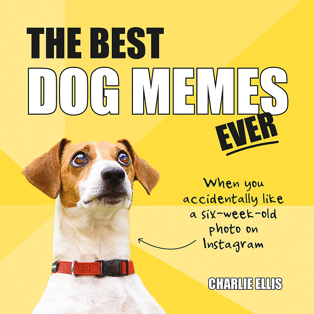 The Best Dog Memes Ever