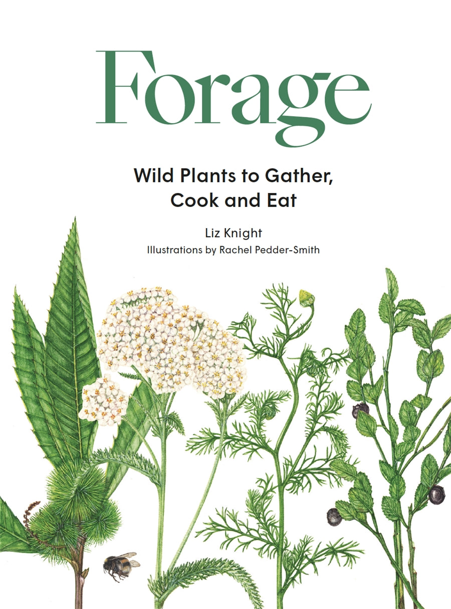 Forage