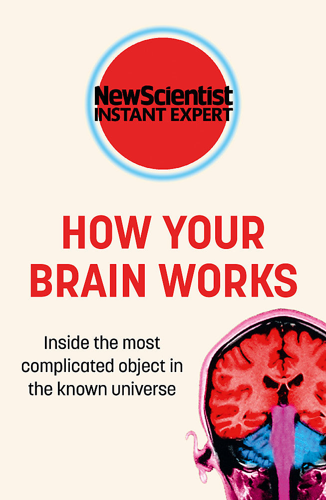 How Your Brain Works