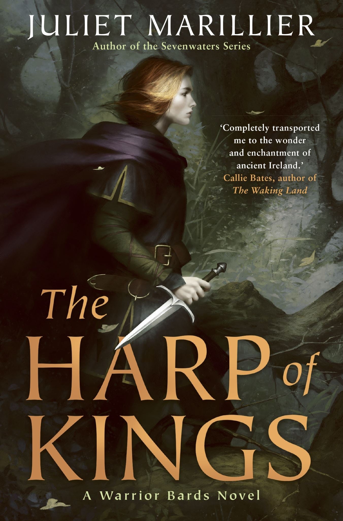 The Harp of Kings: A Warrior Bards Novel 1