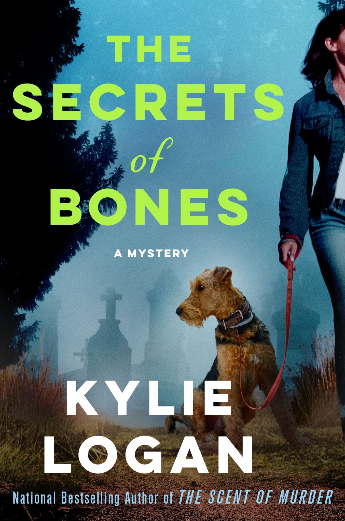 The Secrets of Bones