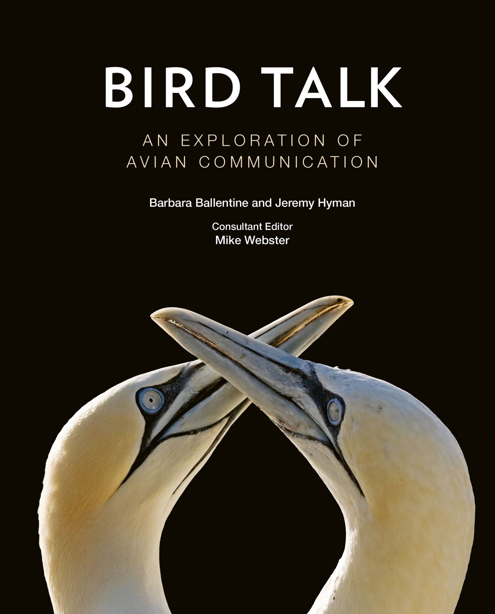 Bird Talk