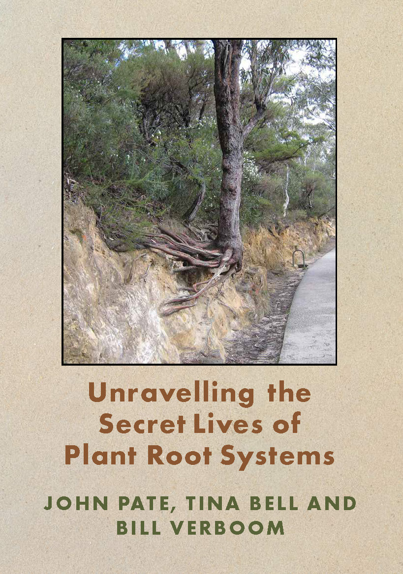 Unravelling the Secret life of Plant Roots