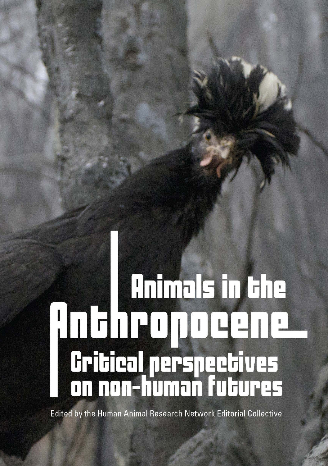 Animals in the Anthropocene