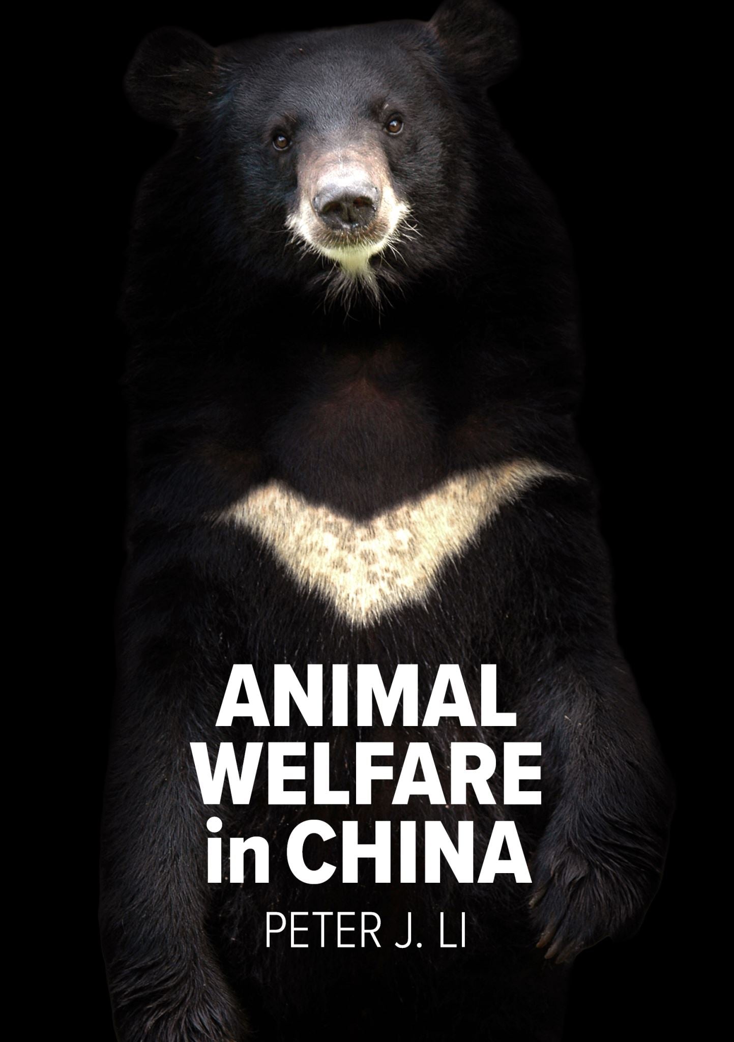 Animal Welfare in China