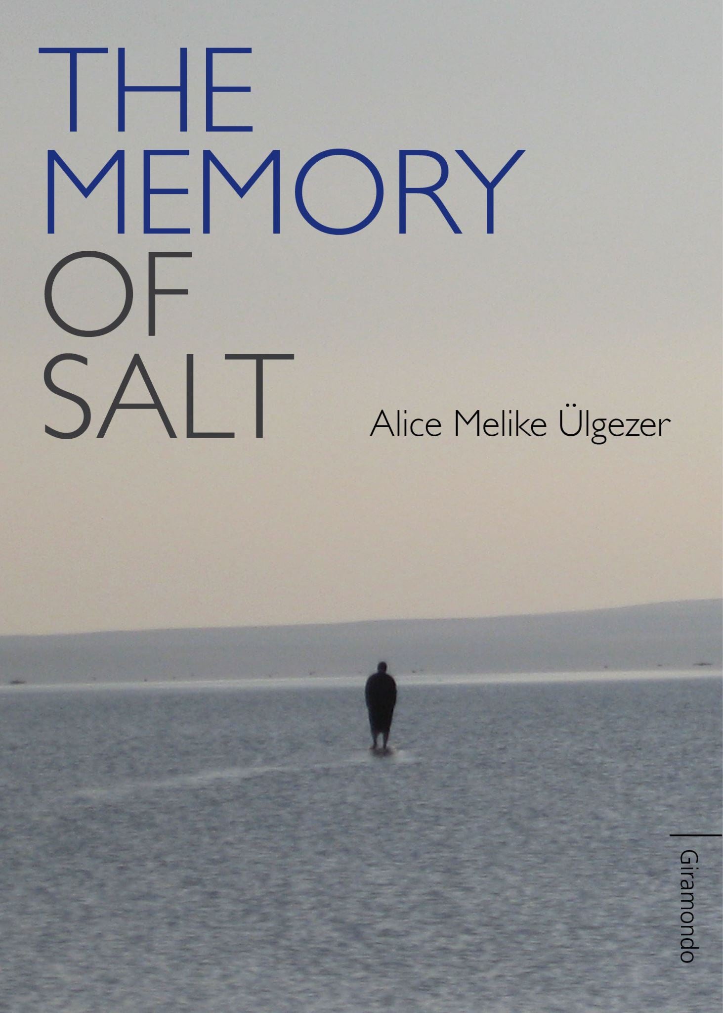 The Memory of Salt