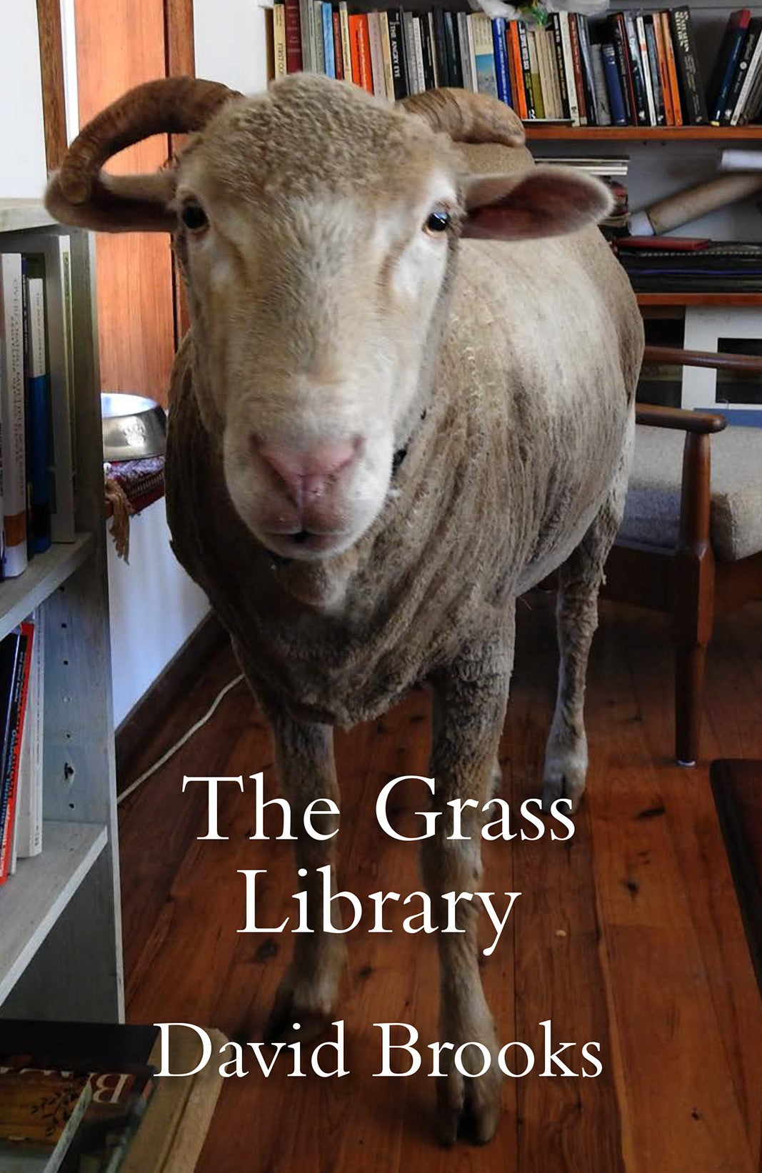 The Grass Library