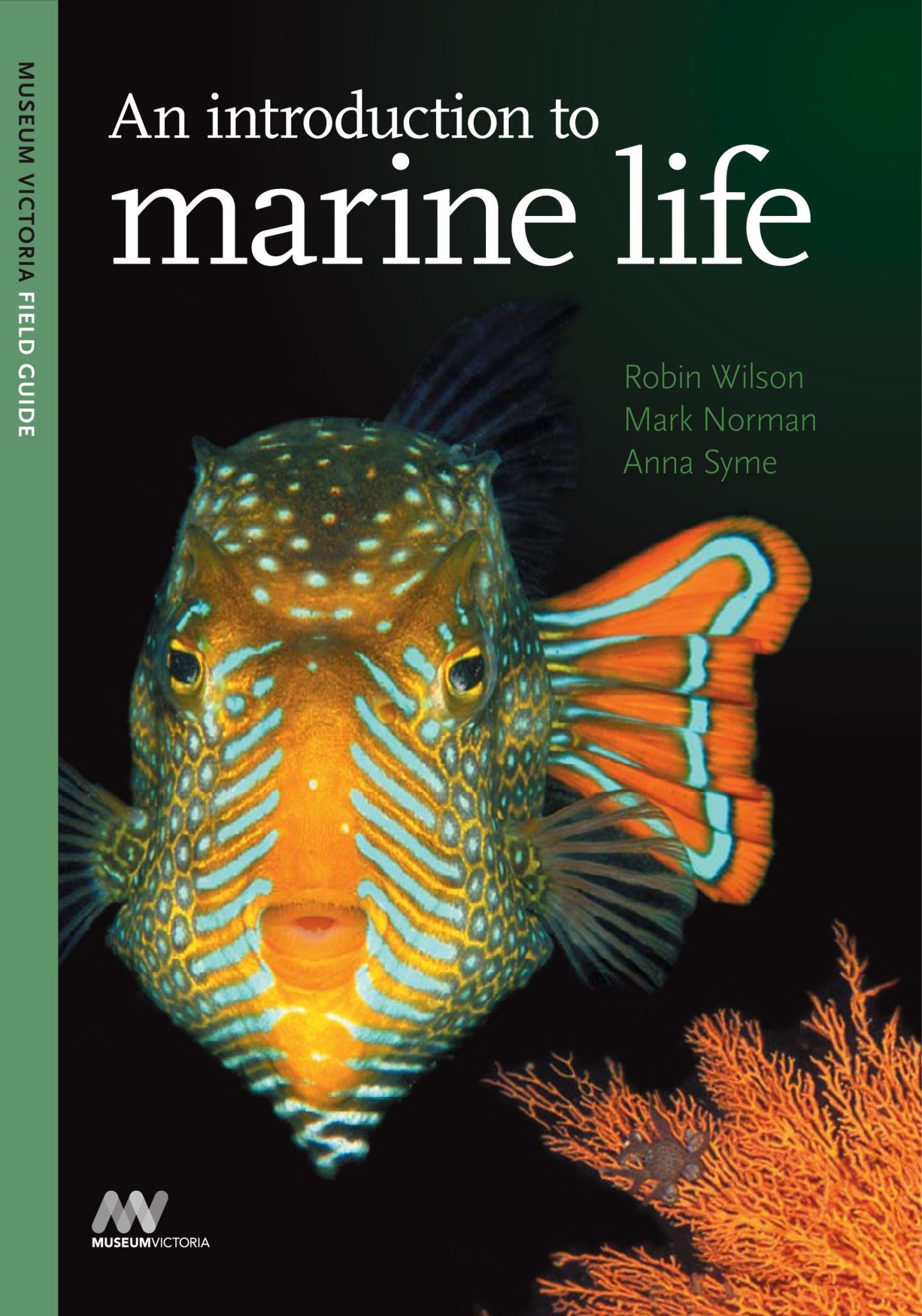 An Introduction to Marine Life