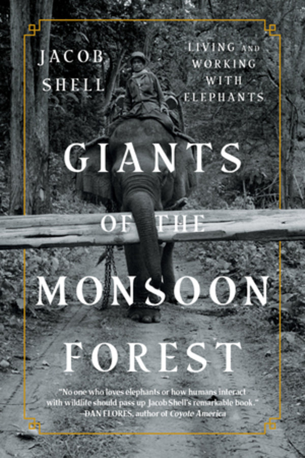 Giants of the Monsoon Forest