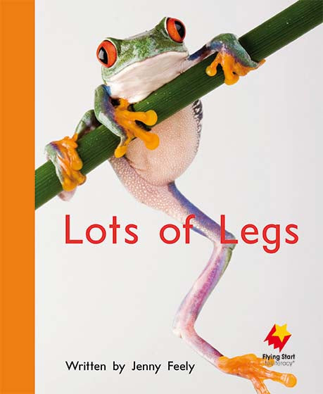 Lots of Legs