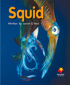 Squid