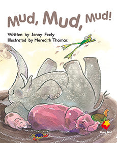 Mud, Mud, Mud!