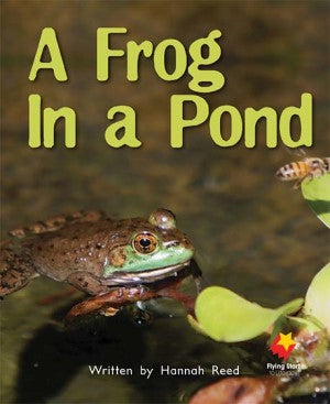 A Frog in the Pond