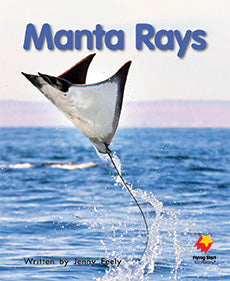 Manta Rays