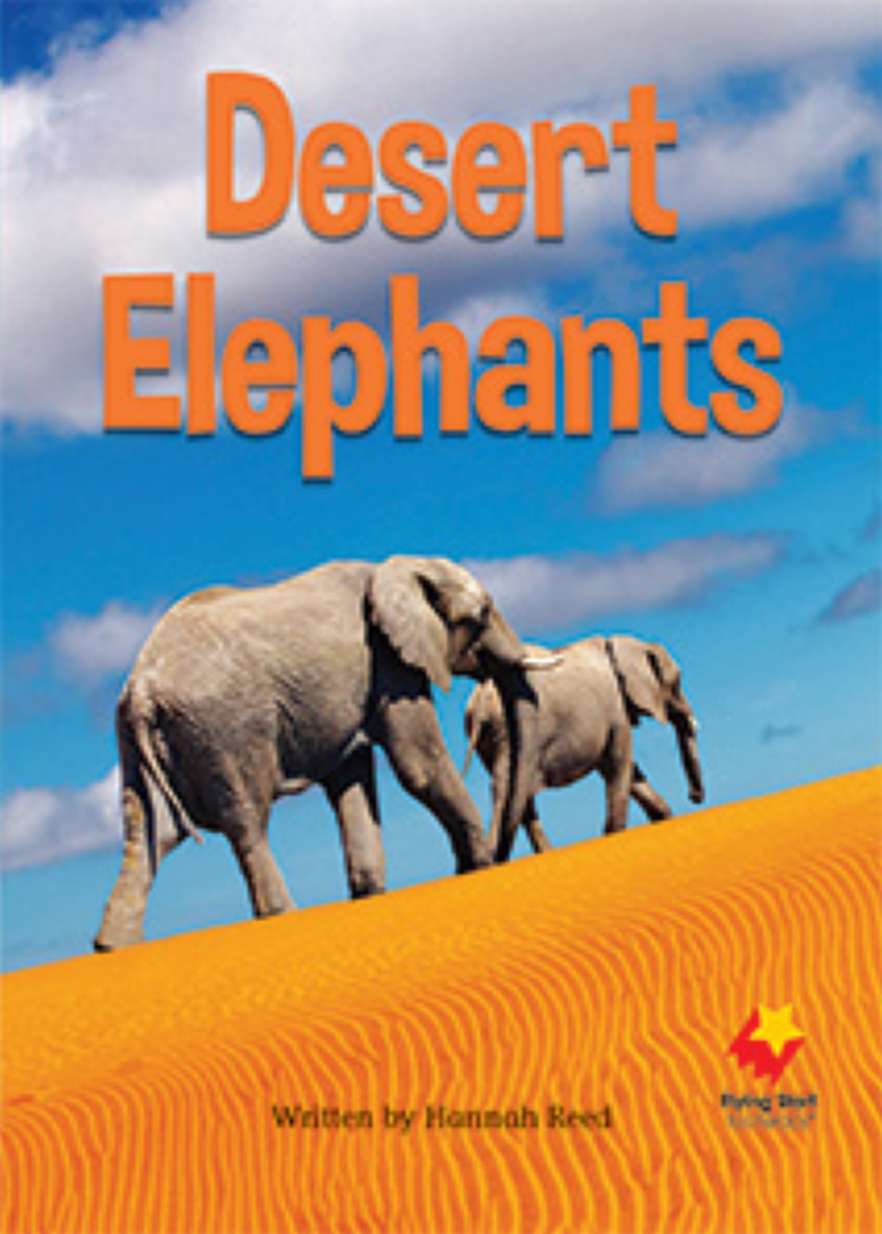 Desert Elephants