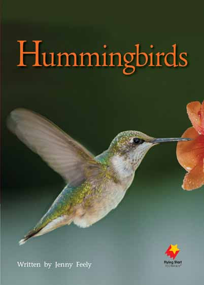 Hummingbirds