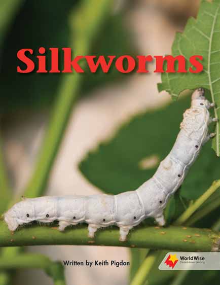 Silkworms