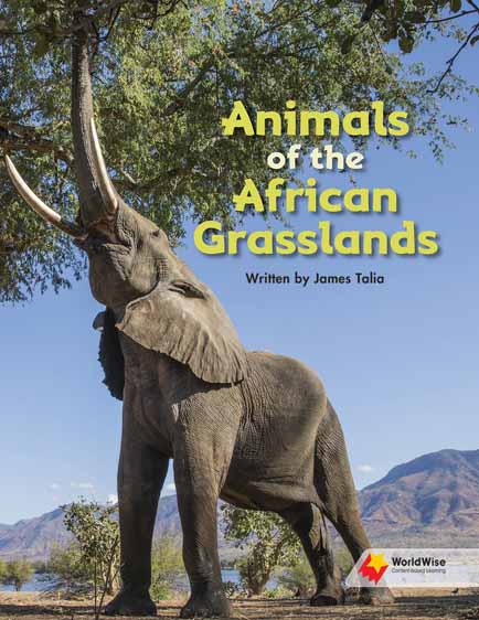 Animals of the African Grasslands