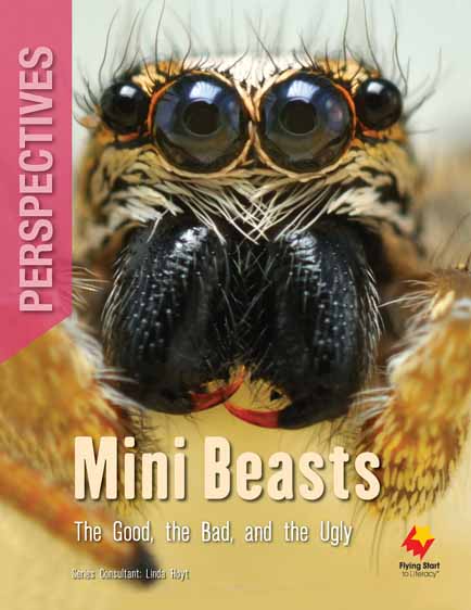 Mini Beasts : The Good, the Bad and the Ugly