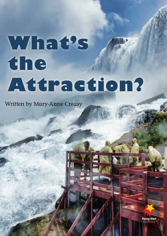 What's the Attraction?