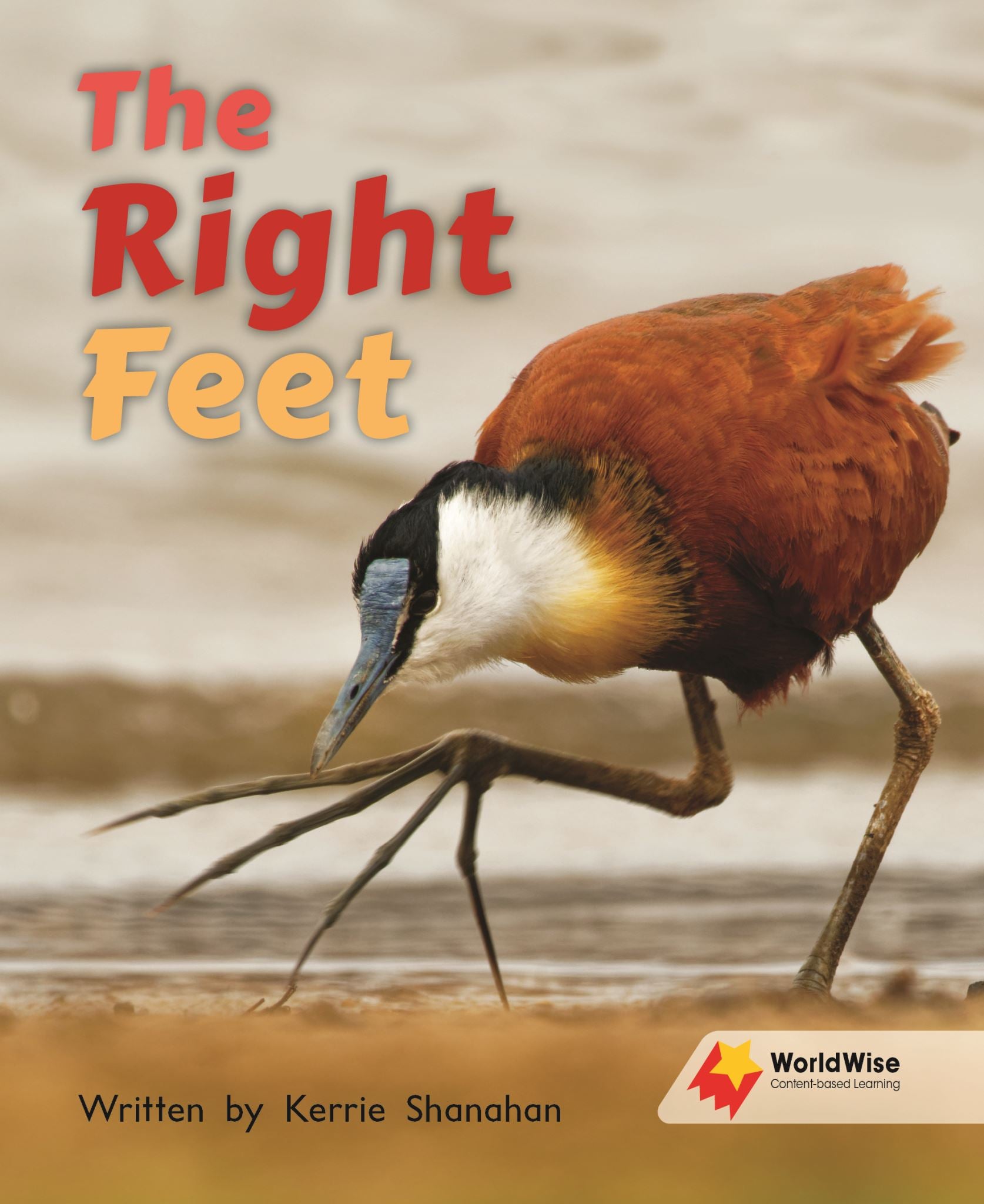 The Right Feet