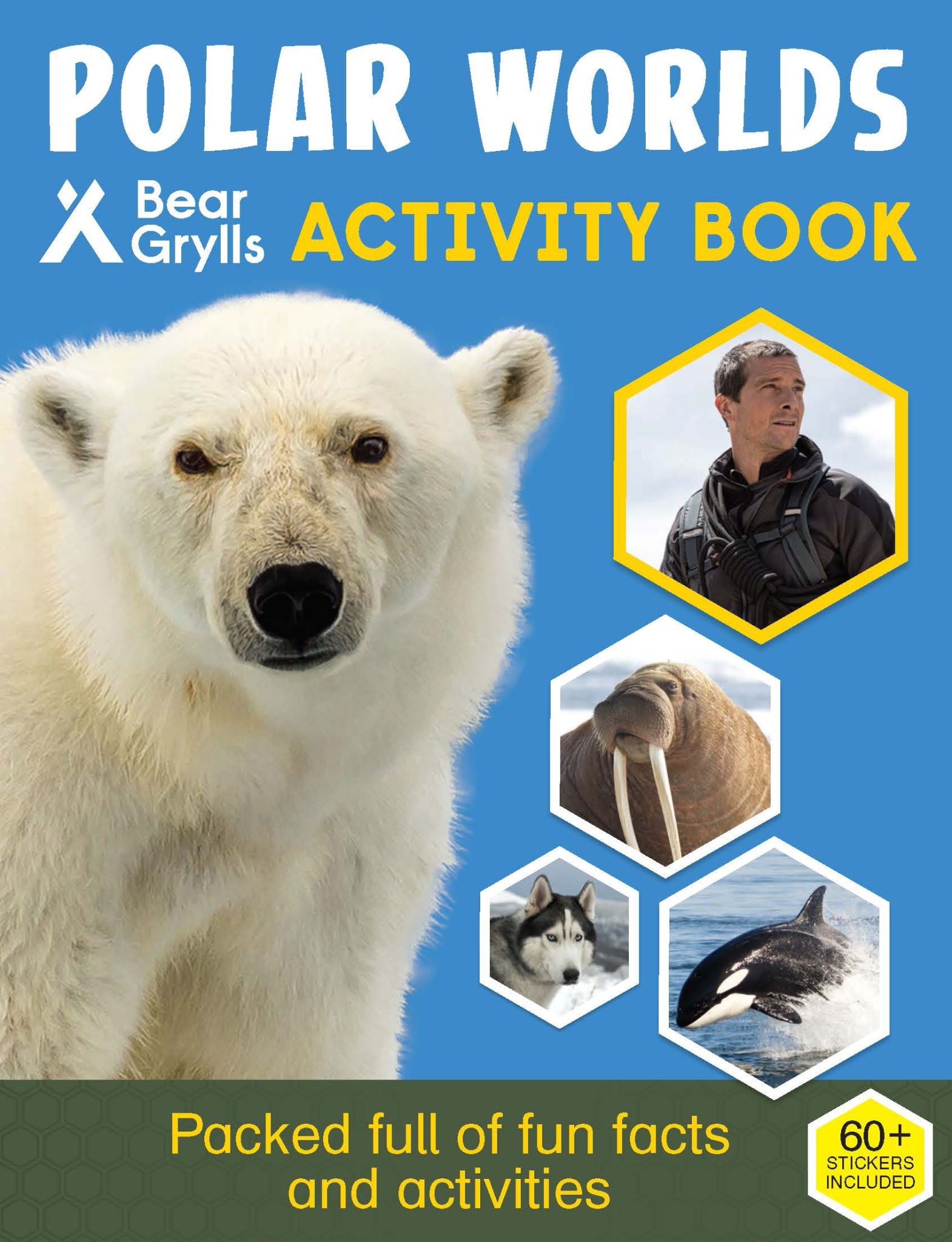 Bear Grylls Activity Series: Polar Worlds - Bear Grylls