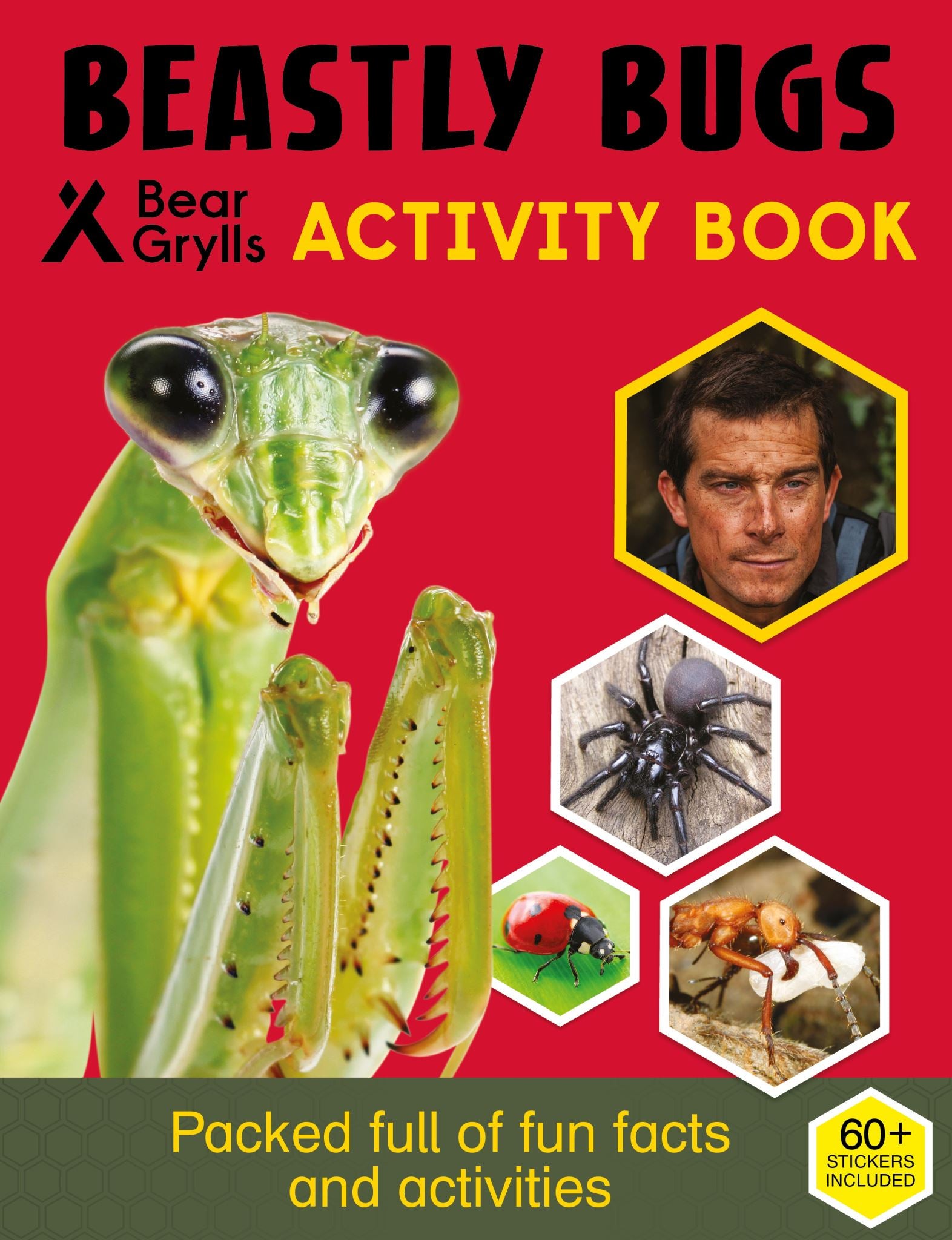 Bear Grylls Activity Series: Beastly Bugs