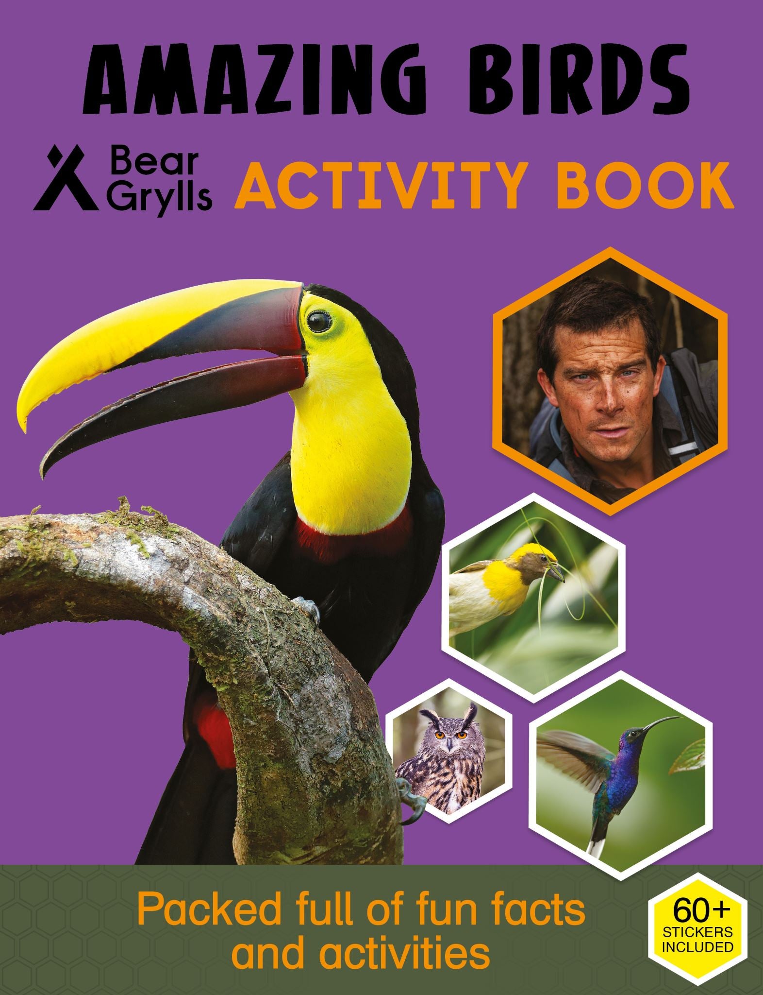 Bear Grylls Activity Series: Birds - Bear Grylls