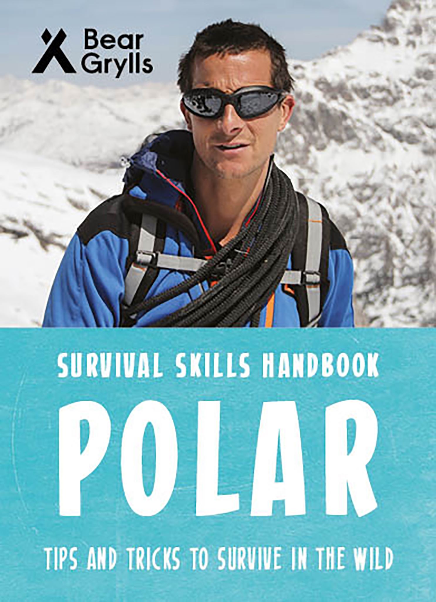 Bear Grylls Survival Skills: Polar