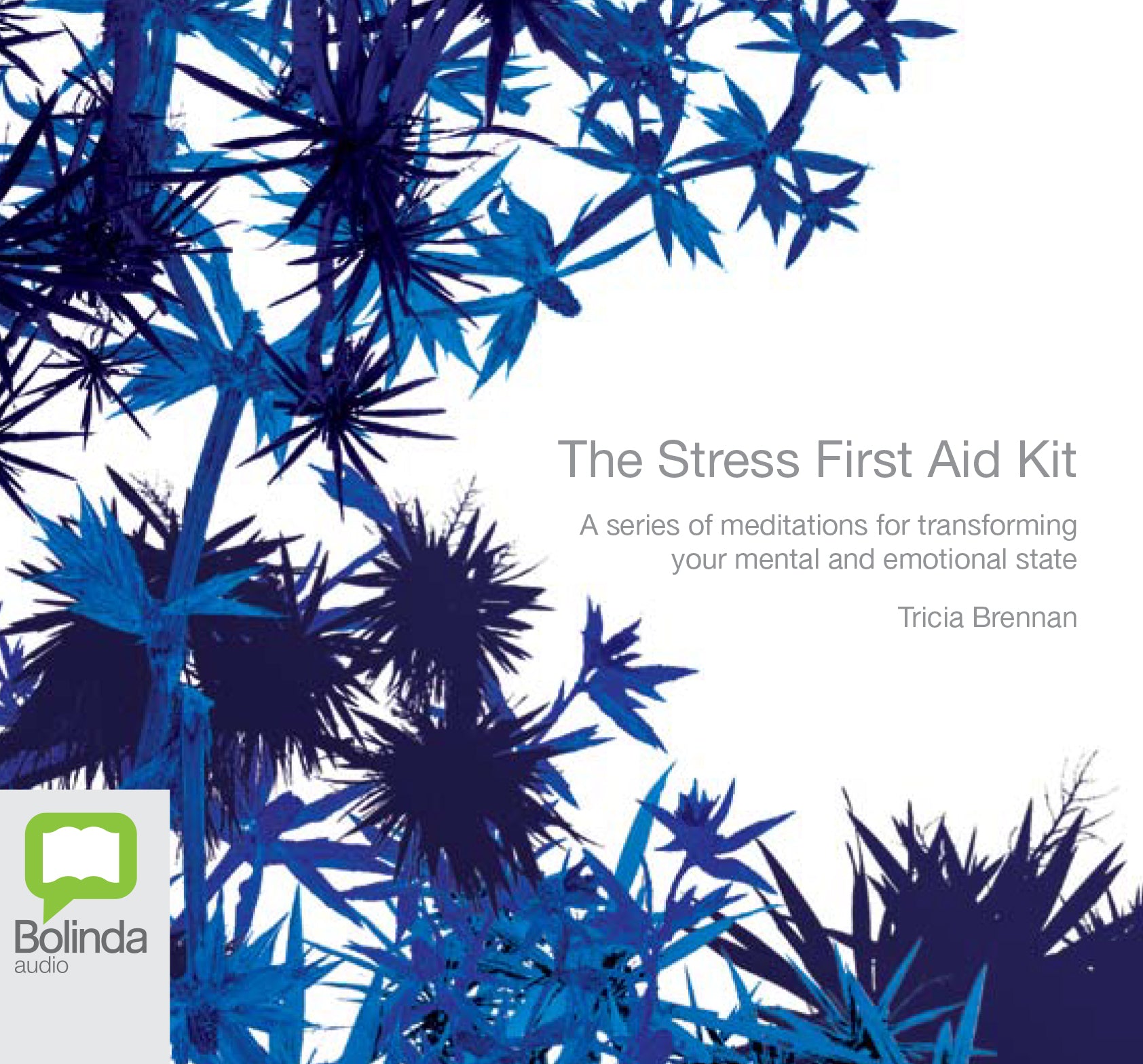 The Stress First Aid Kit - Unbridged Audio Book on CD