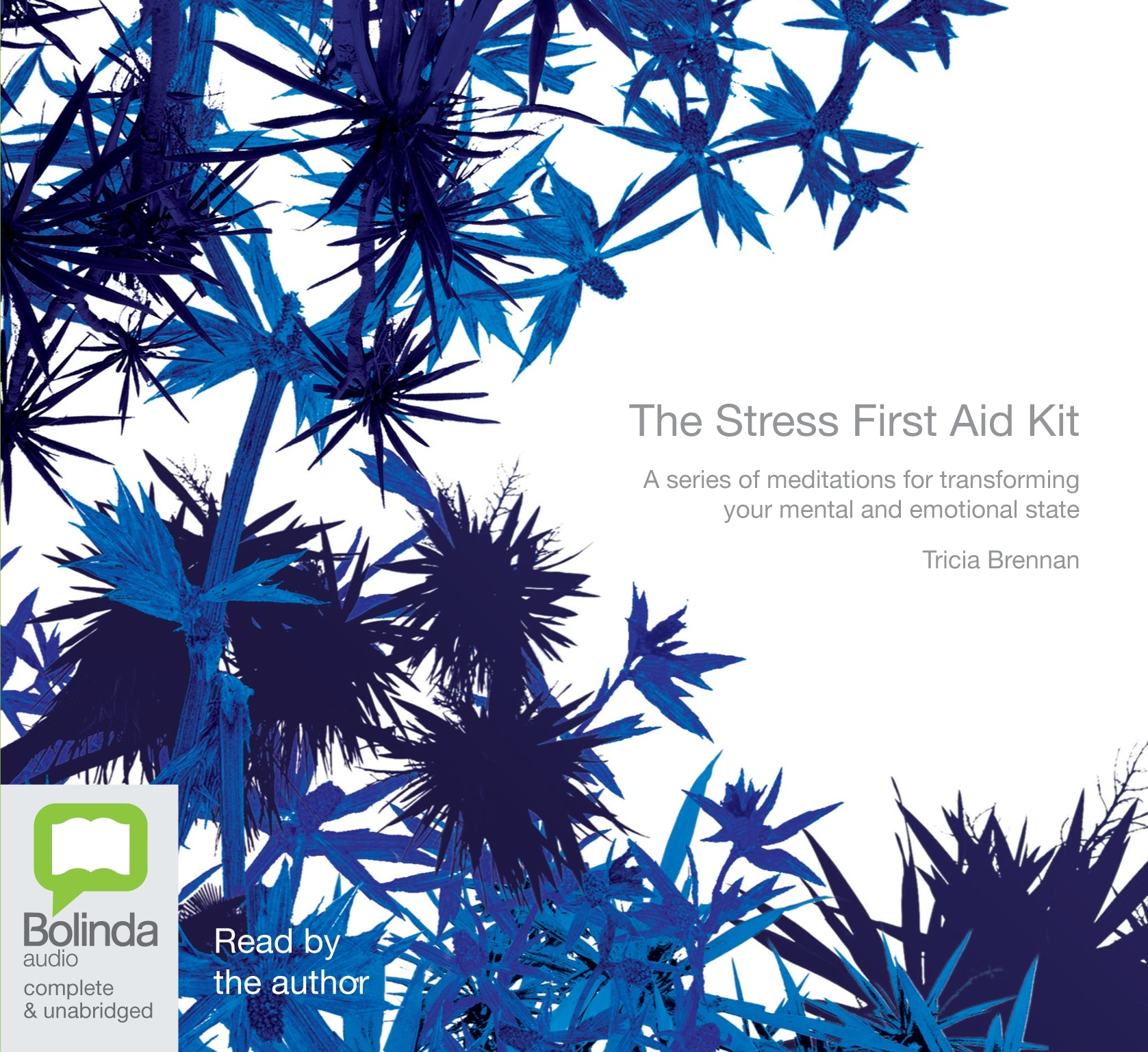 The Stress First Aid Kit  - Unbridged Audio Book on MP3