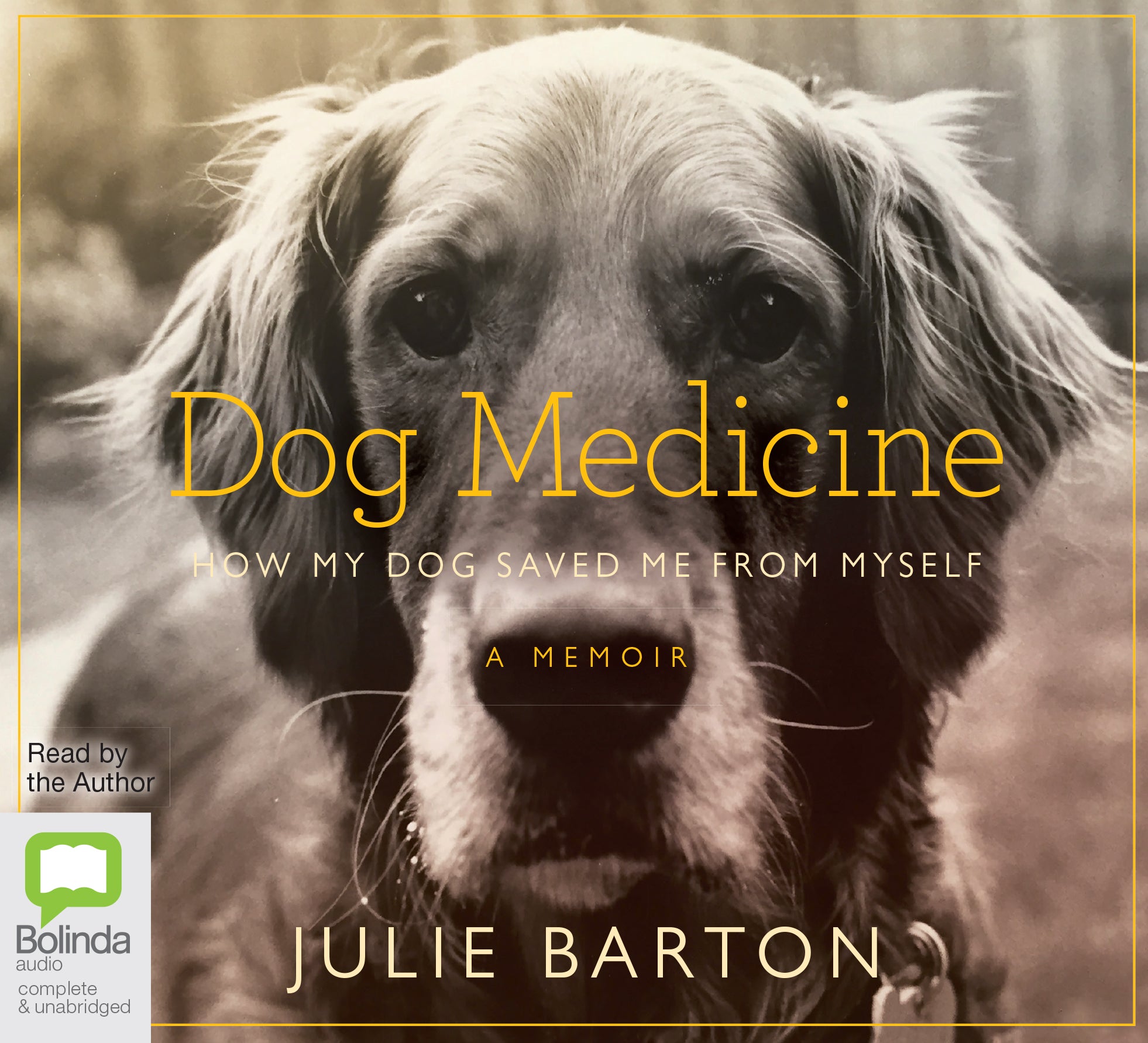 Dog Medicine - Unbridged Audio Book on CD