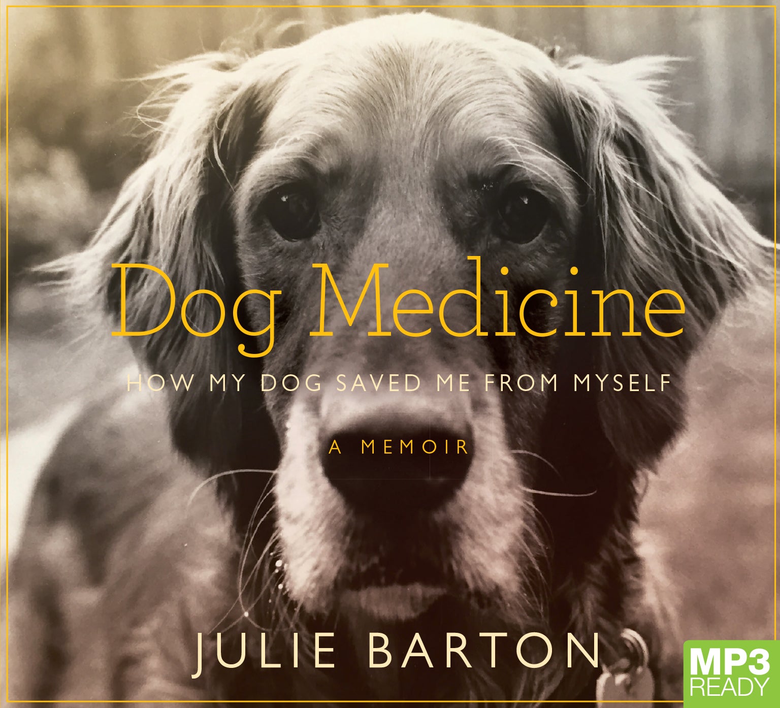 Dog Medicine  - Unbridged Audio Book on MP3